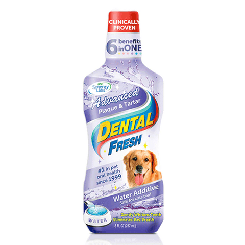 VETERINARY FORMULA CLINICAL CARE HOT SPOT & ITCH RELIEF MEDICATED SHAMPOO