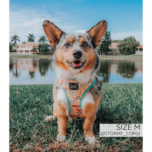 Sassy Woof REVERSIBLE HARNESS - HEARTY BRUNCH