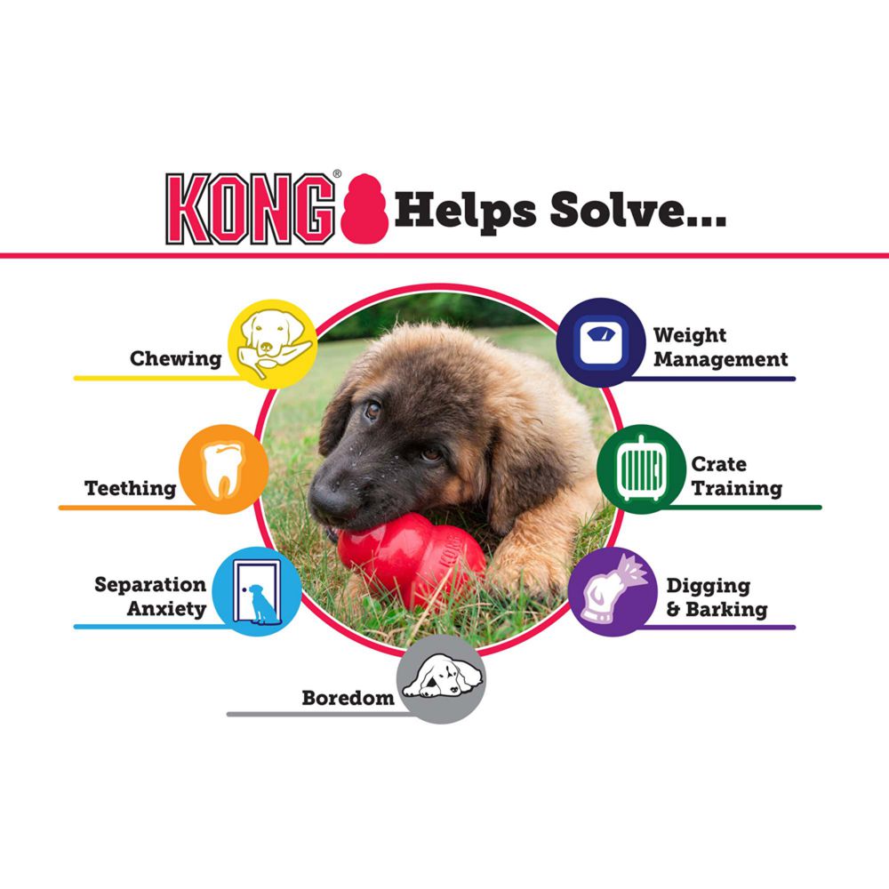 KONG Extreme Dog Toy – Paws and Whiskers