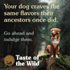 Taste of the Wild Southwest Canyon Canine Recipe with Beef in Gravy