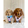 Sassy Woof REVERSIBLE HARNESS - LOVE ACTUALLY