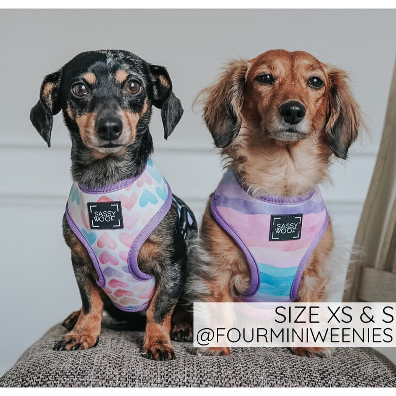 Sassy Woof REVERSIBLE HARNESS - LOVE ACTUALLY