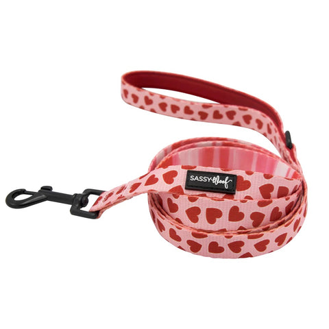 Sassy Woof Dog Leash- Pawberry