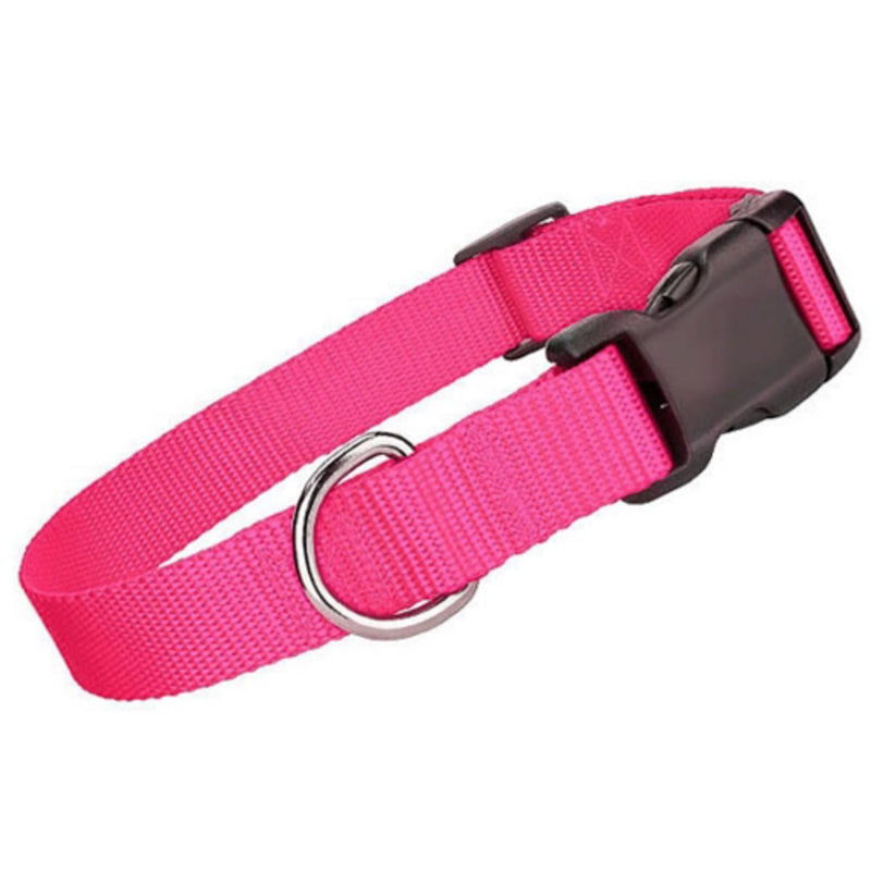 Parisian Pet Nylon Collar - Neon Pink