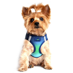 Doggie Design Ombré Northern Light Comfort Harness