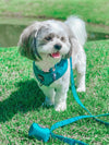Sassy Woof ADJUSTABLE HARNESS - NAPA