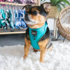 Sassy Woof ADJUSTABLE HARNESS - NAPA