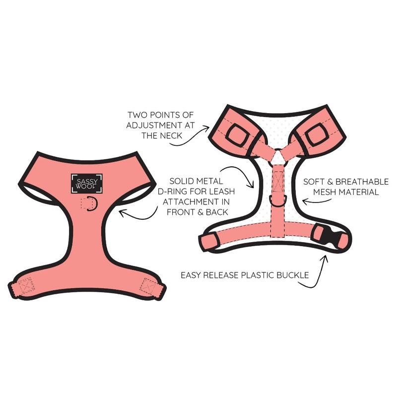 Sassy Woof ADJUSTABLE HARNESS - DREAMS CRUMB TRUE