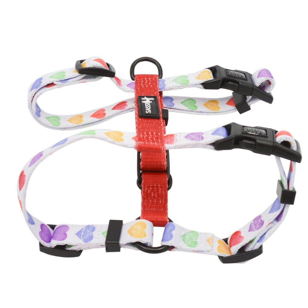 Sassy Woof Step-In-Strap Harness - Love Is Love