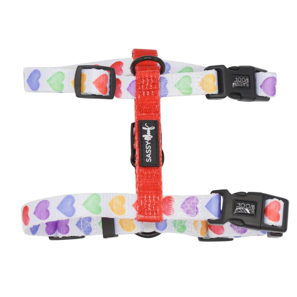 Sassy Woof Step-In-Strap Harness - Love Is Love