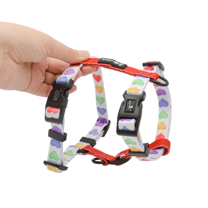 Sassy Woof Step-In-Strap Harness - Love Is Love