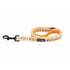 Sassy Woof Leash - A Latte Pupkin Fabric