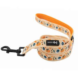 Sassy Woof Leash - A Latte Pupkin Fabric