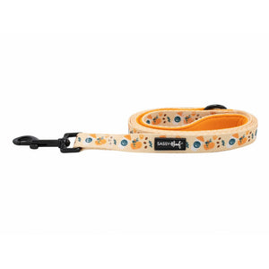 Sassy Woof Leash - A Latte Pupkin Fabric