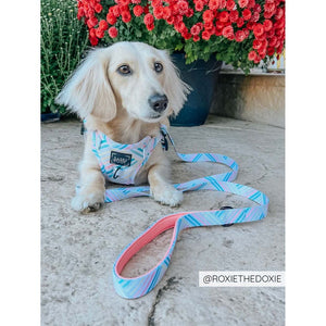 Sassy Woof Leash - Rainbow Sherbet