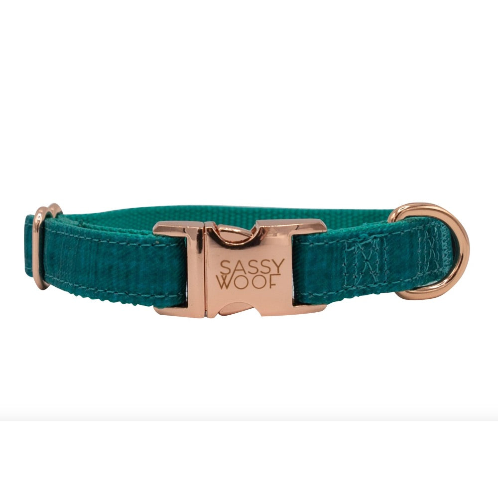 Sassy Woof COLLAR - NAPA