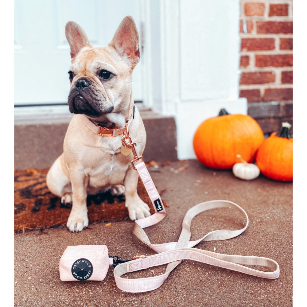 Sassy Woof COLLAR - PINOT