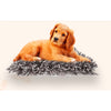 Paw 5 The Snuffle Mat™