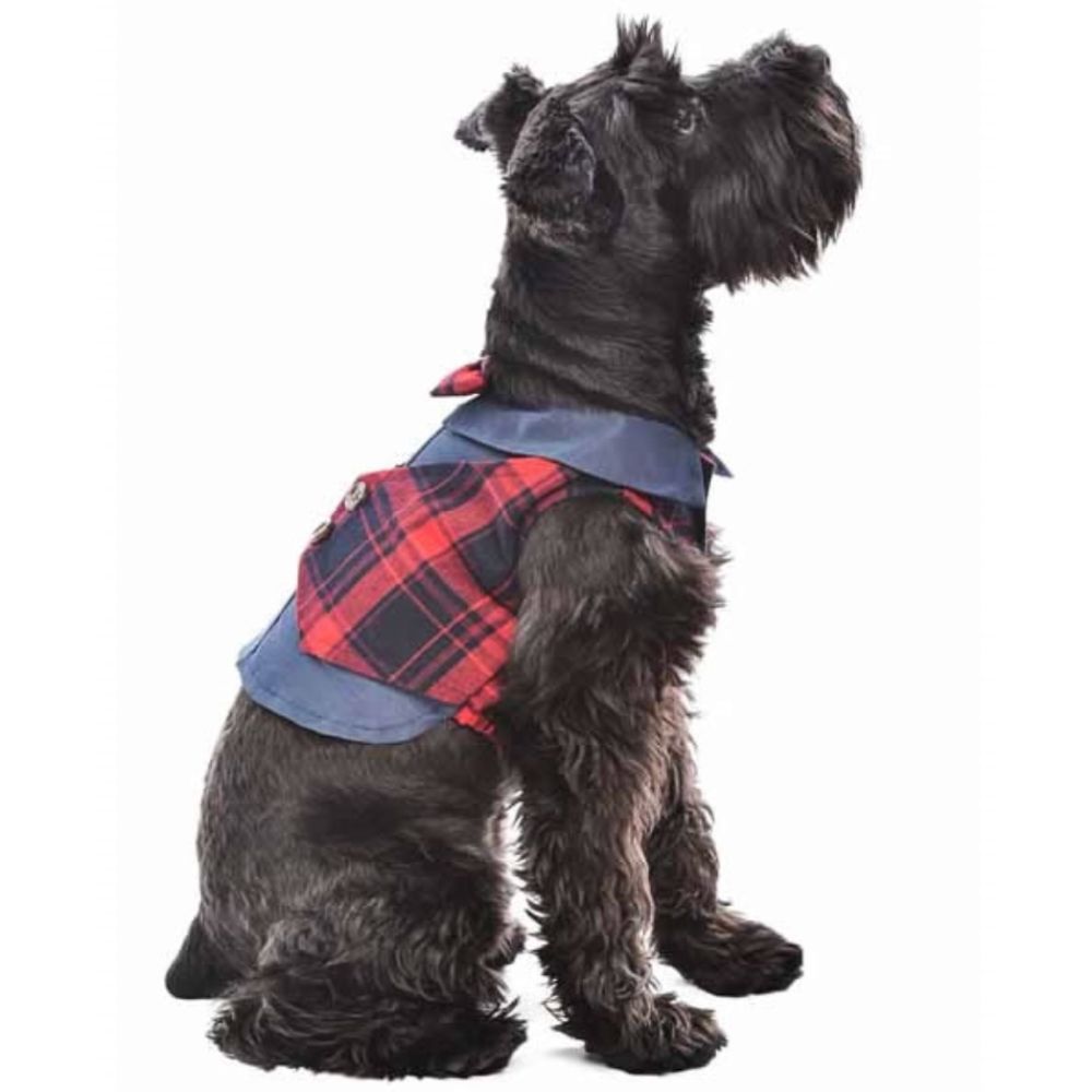 Parisian Pet Scottish Red and Blue Plaid Tux