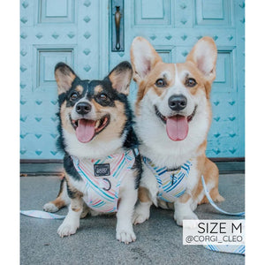 Sassy Woof Step-In Harness - Rainbow Sherbet