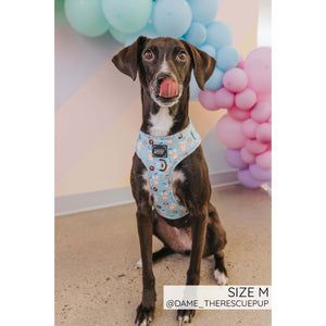 Sassy Woof Adjustable Harness - Sweets & Pawfee