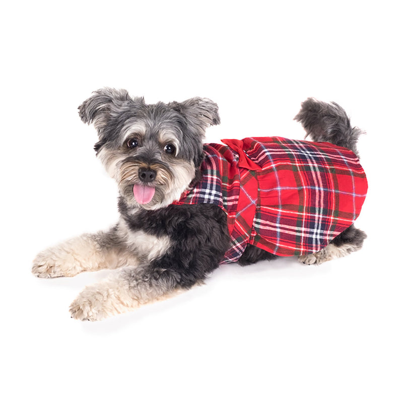 The Worthy Dog Red Plaid Dress