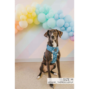 Sassy Woof Adjustable Harness - Santorini