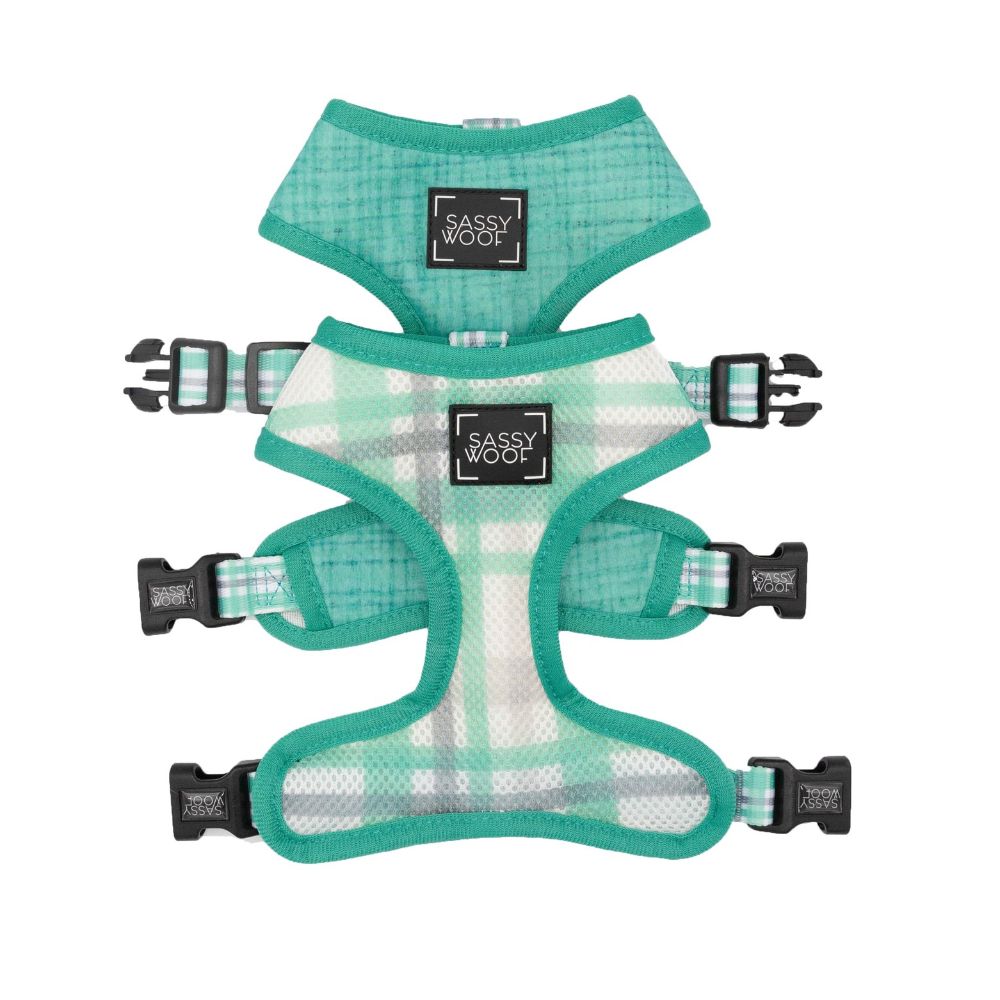 Sassy Woof REVERSIBLE HARNESS - WAG YOUR TEAL