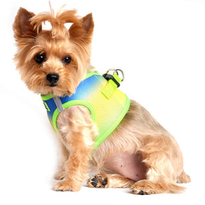 Doggie Design American River Choke Free Dog Harness Ombre Collection - Cobalt Sport