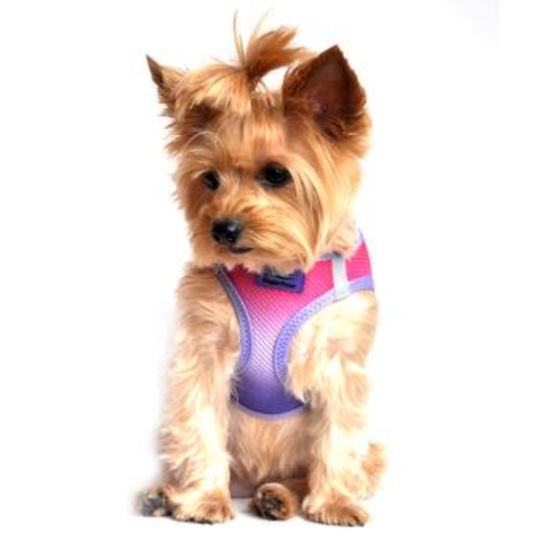 Doggie Design American River Choke Free Dog Harness Ombre Collection - Raspberry Sundae