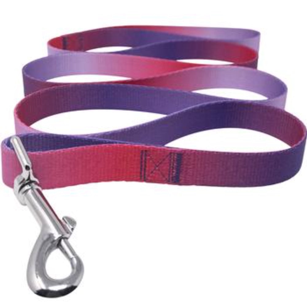 Doggie Design American River Ombre Leash - Raspberry Sundae