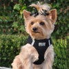Doggie Design American River Solid Ultra Choke Free Dog Harness - Black
