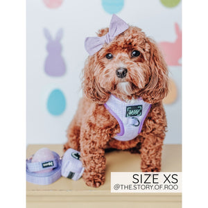 Sassy Woof Adjustable Harness - Aurora