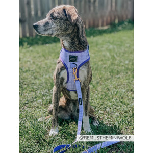 Sassy Woof Adjustable Harness - Aurora