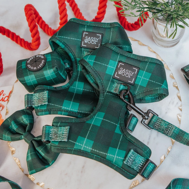 Sassy Woof ADJUSTABLE HARNESS - BARKS OF HOLLY