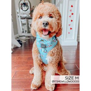 Sassy Woof Adjustable Harness - Bee Kind & Love Dogs