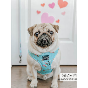 Sassy Woof Adjustable Harness - Bee Kind & Love Dogs