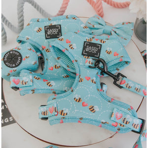 Sassy Woof Adjustable Harness - Bee Kind & Love Dogs