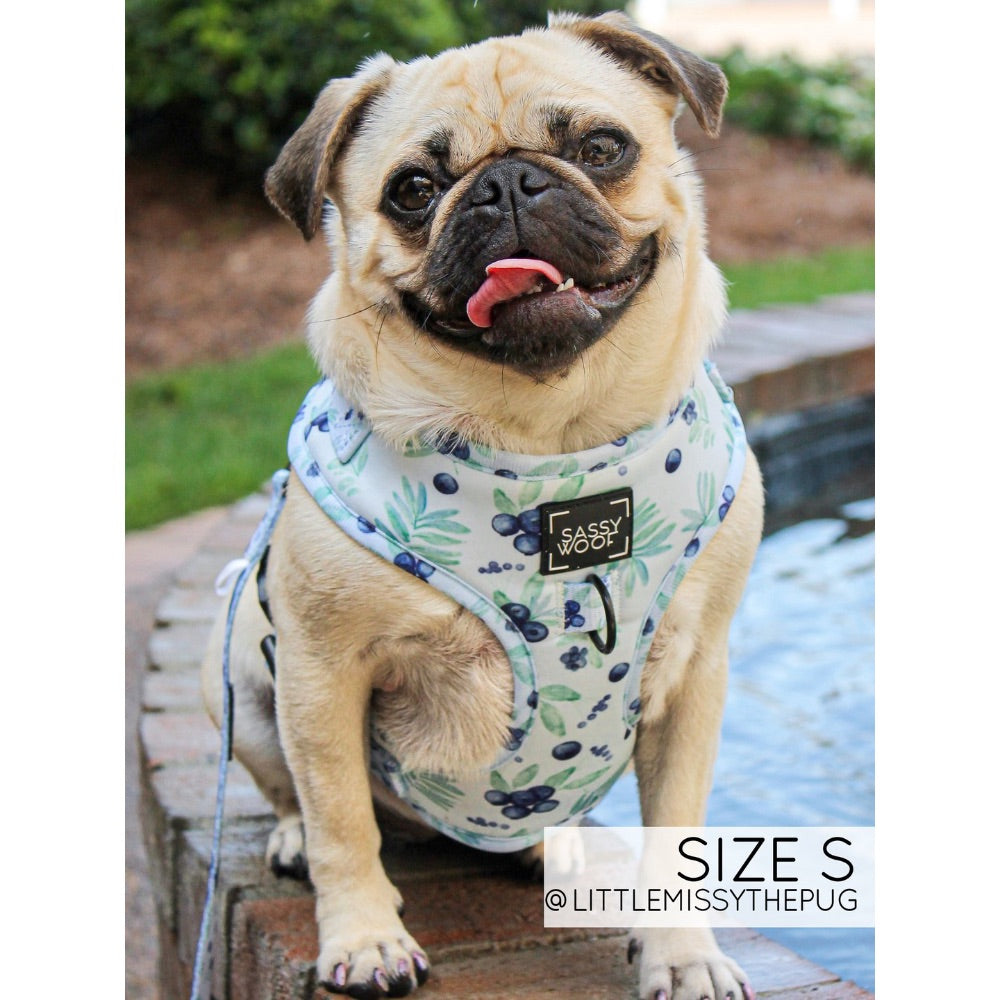 Sassy Woof Adjustable Harness Berry Sassy – Paws and Whiskers