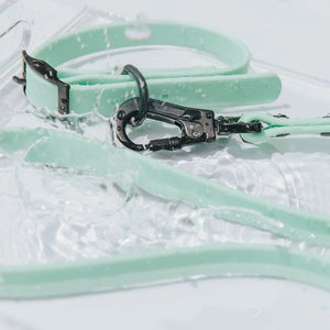 Sassy Woof Waterproof Leash - Green