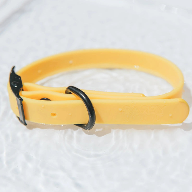 Sassy Woof Waterproof Collar - Yellow