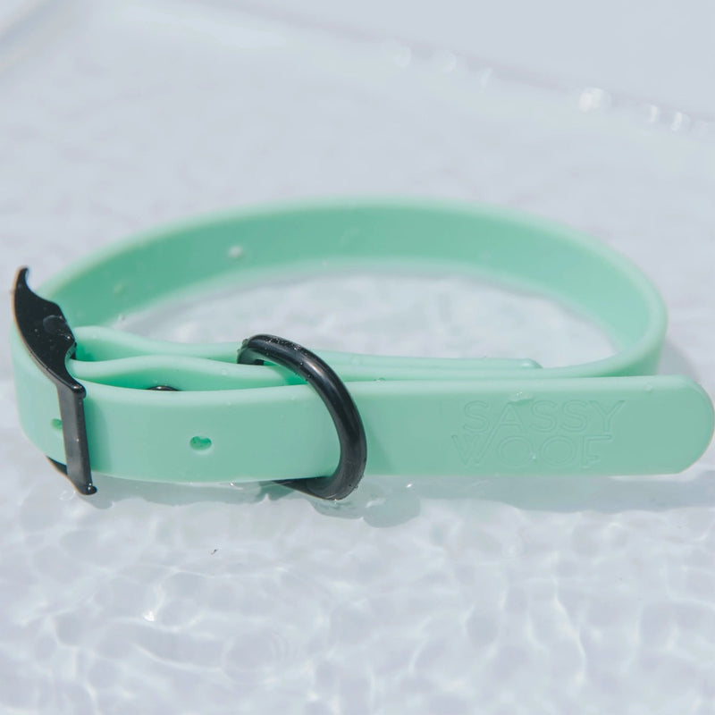 Sassy Woof Waterproof Collar - Green