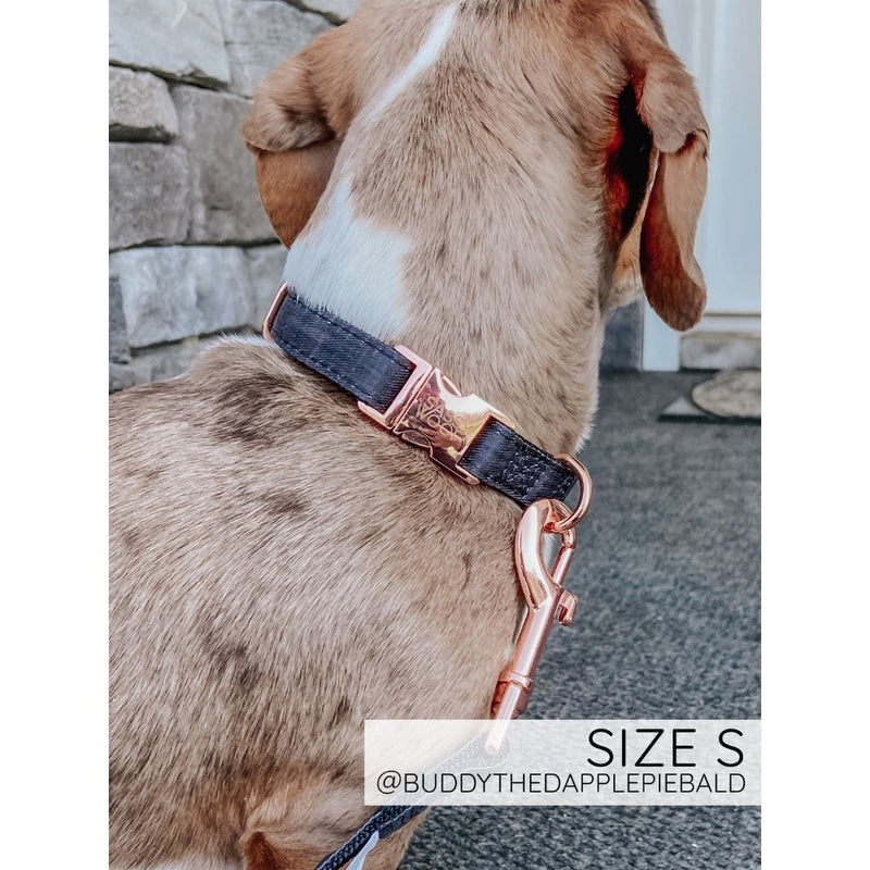 Sassy Woof Collar - Baby Got Black