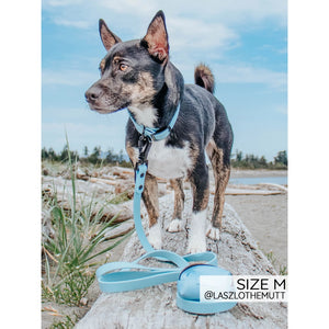 Sassy Woof Waterproof Collar - Blue