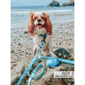 Sassy Woof Waterproof Collar - Blue