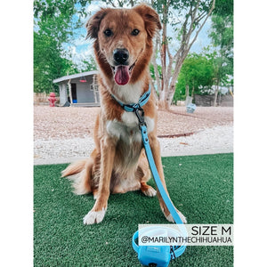 Sassy Woof Waterproof Collar - Blue