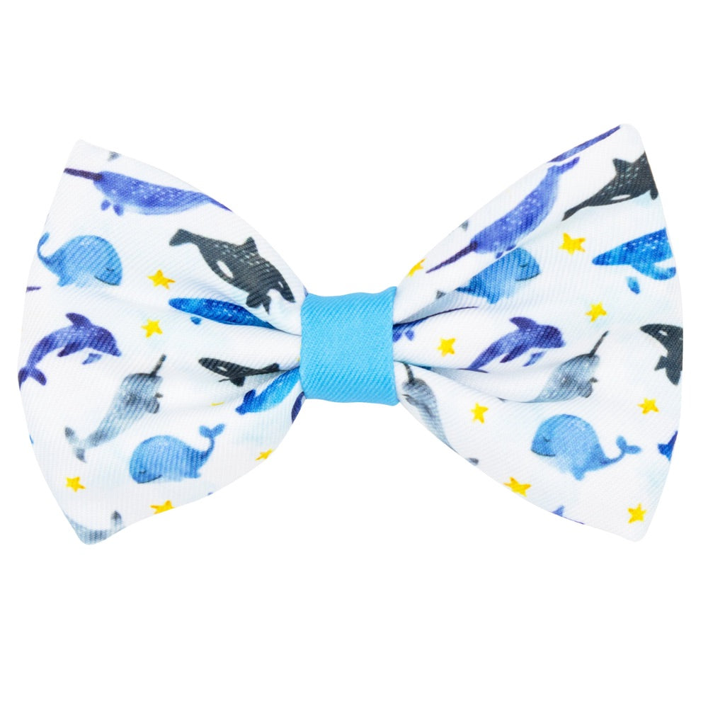 Sassy Woof Bowtie - Whale, Hello There