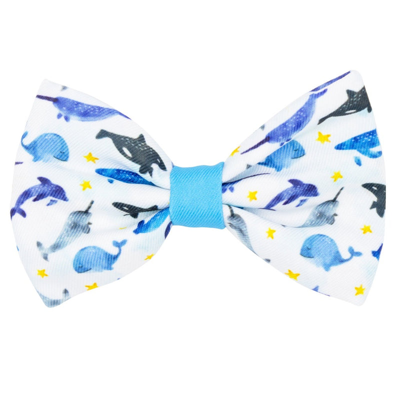 Sassy Woof Bowtie - Whale, Hello There
