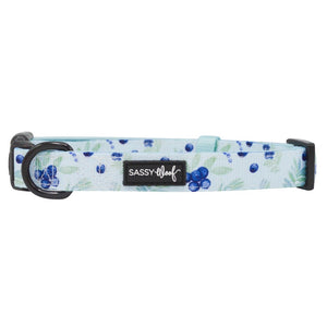 Sassy Woof Collar - Berry Sassy