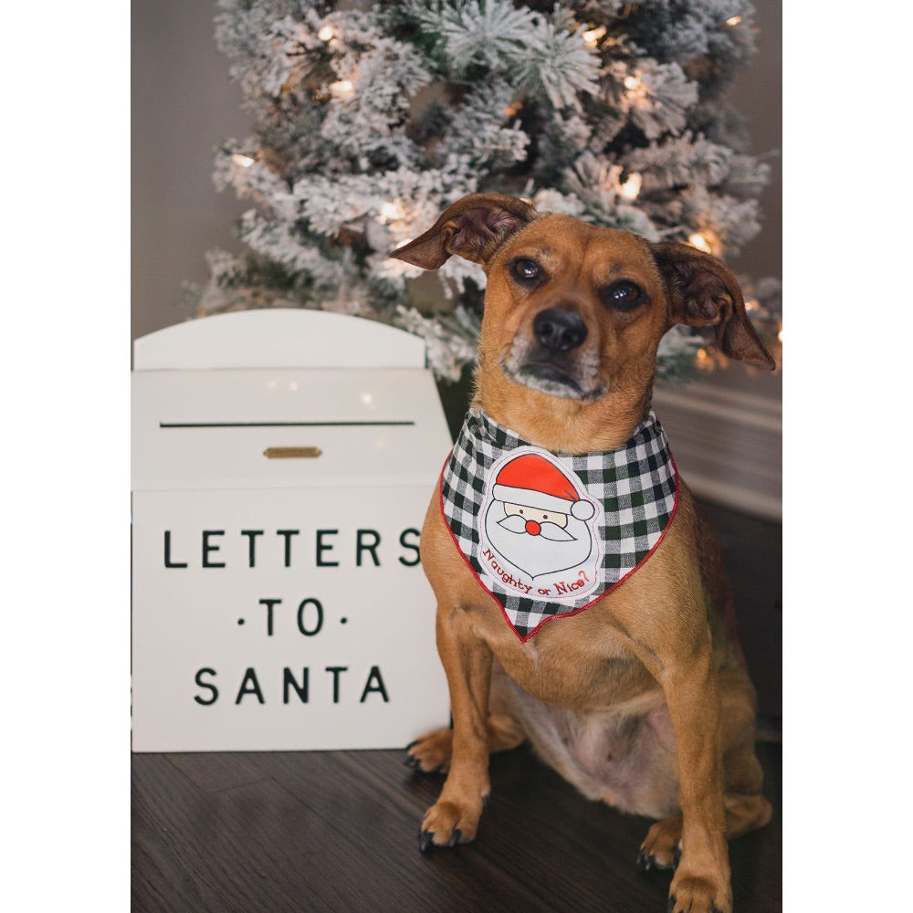 Tail Trends SANTA NAUGHTY OR NICE Bandana